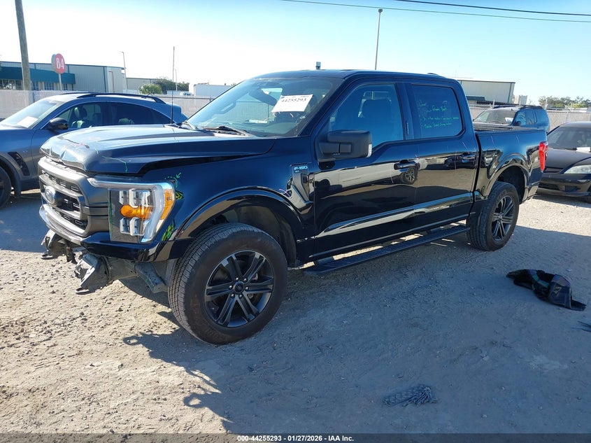 2022 Ford F-150 Xlt