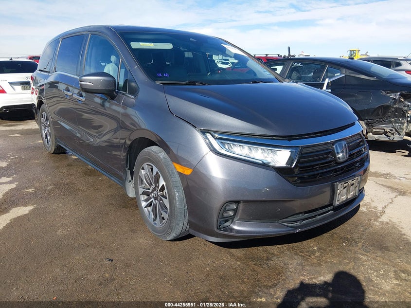 2023 Honda Odyssey Ex-L