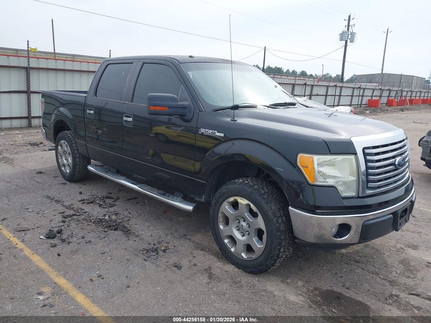 2010 Ford F-150 Fx2 Sport/Harley-Davidson/King Ranch/Lariat/Platinum/Xl/Xlt