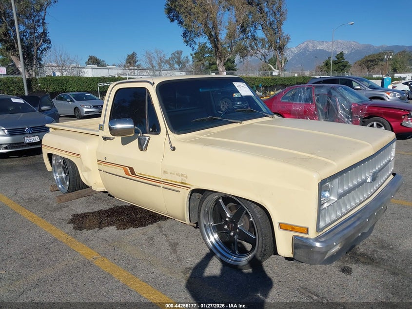 1981 CHEVROLET C-10 PICKUP 4.1L I6 CRB OHV C