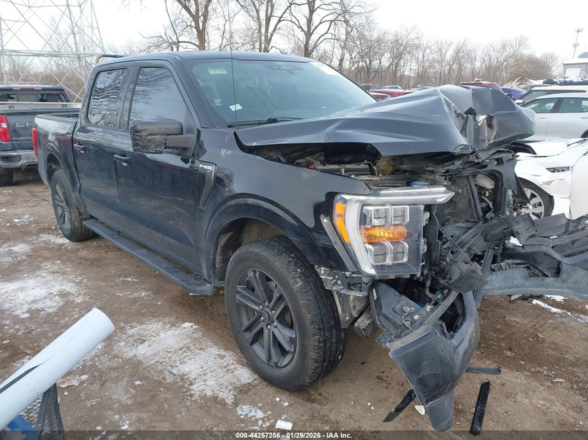 2021 Ford F-150 Xlt