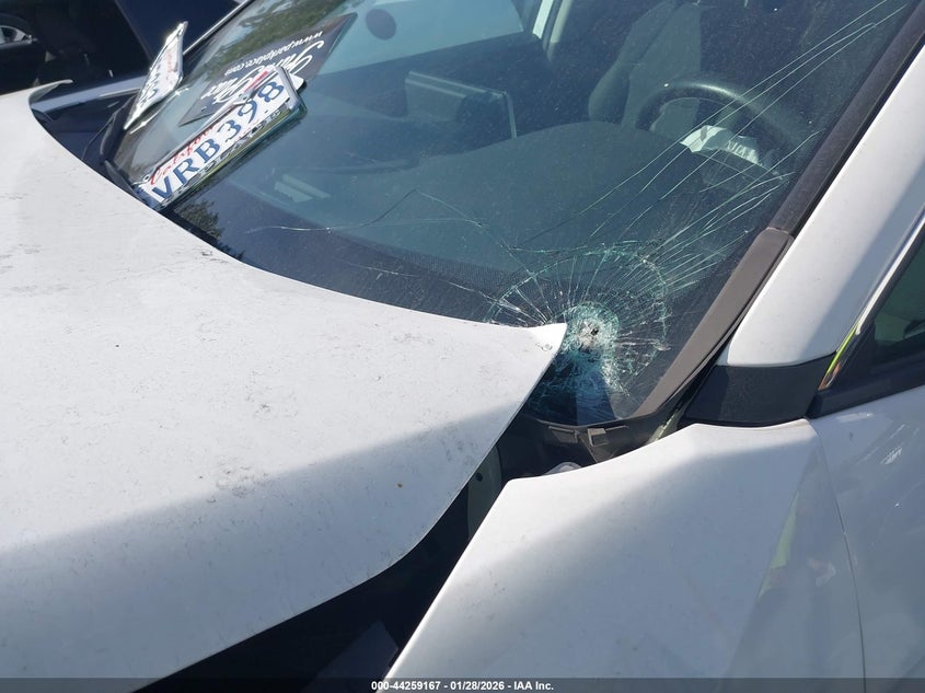 VIN 2T3G1RFV1PC356127 2023 TOYOTA RAV4 LE