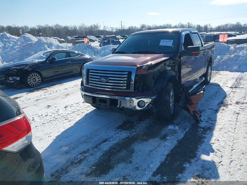 2010 Ford F-150 Fx4/Harley-Davidson/King Ranch/Lariat/Platinum/Xl/Xlt