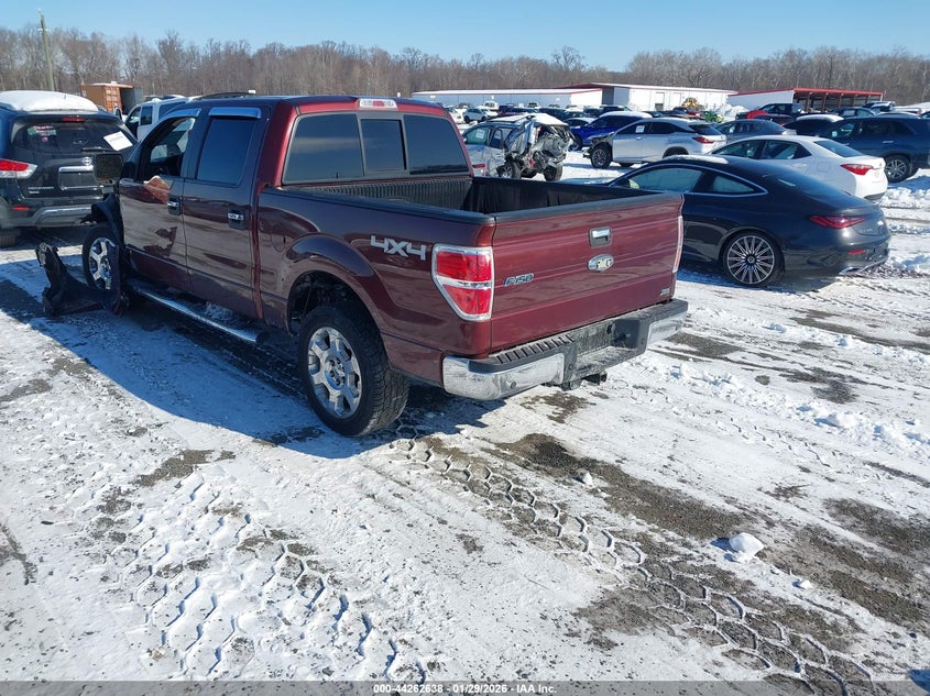 2010 Ford F-150 Fx4/Harley-Davidson/King Ranch/Lariat/Platinum/Xl/Xlt