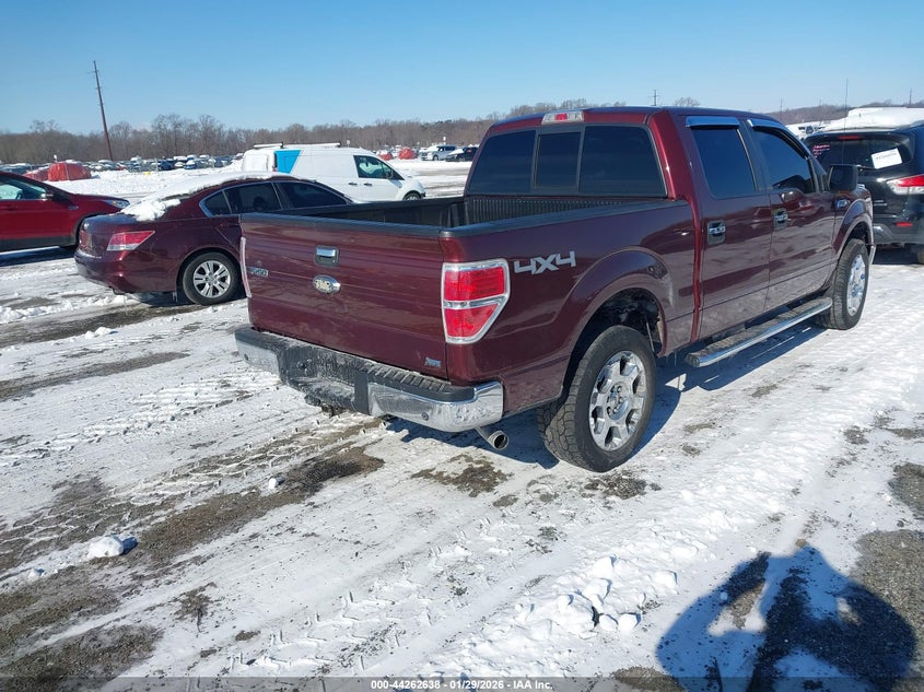 2010 Ford F-150 Fx4/Harley-Davidson/King Ranch/Lariat/Platinum/Xl/Xlt
