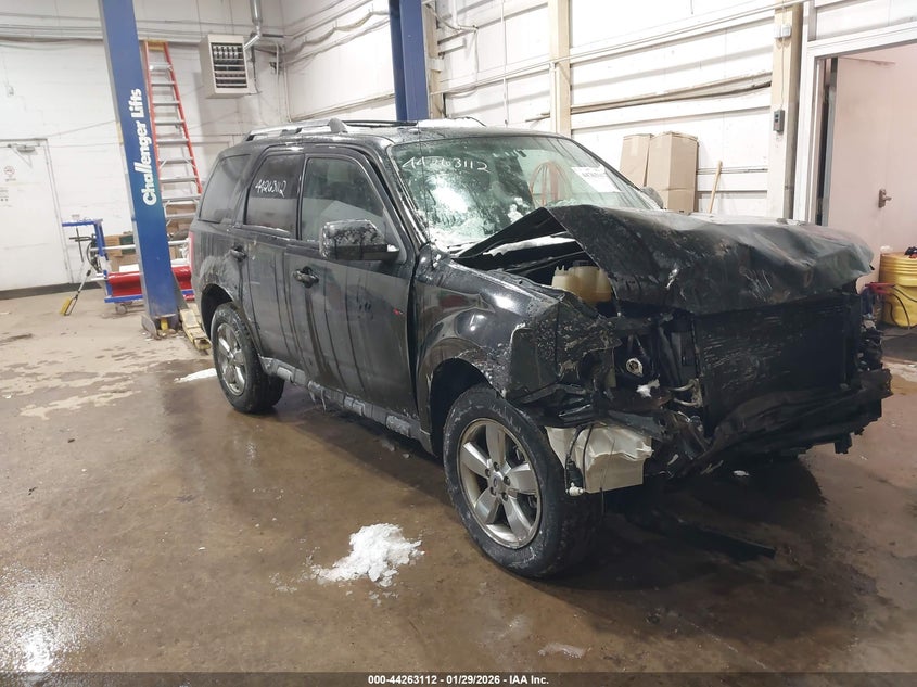 2010 Ford Escape Limited