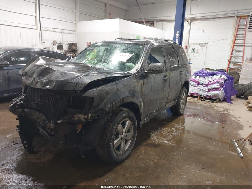 2010 Ford Escape Limited