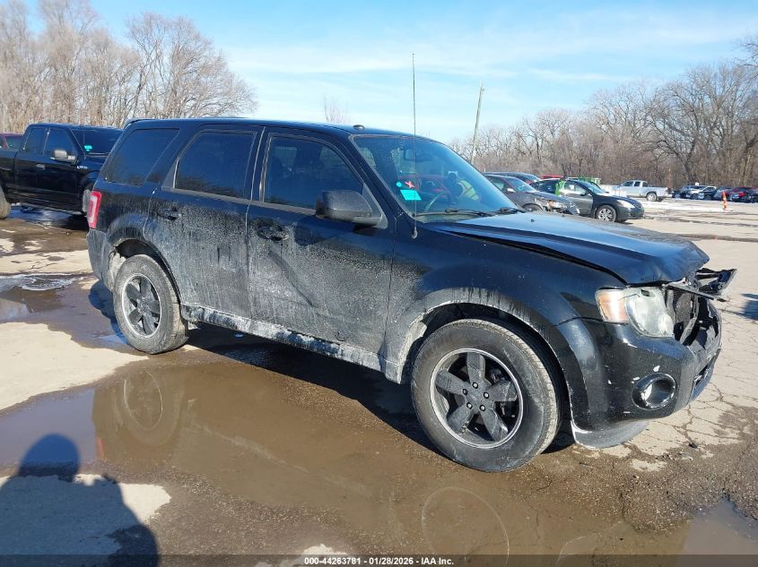 2010 Ford Escape Xlt