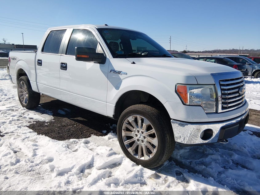2010 Ford F-150 Fx4/Harley-Davidson/King Ranch/Lariat/Platinum/Xl/Xlt