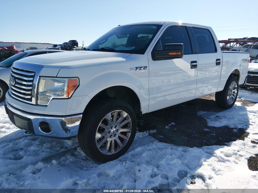 2010 Ford F-150 Fx4/Harley-Davidson/King Ranch/Lariat/Platinum/Xl/Xlt