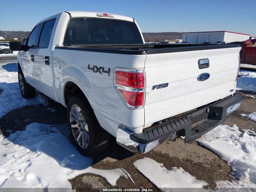 2010 Ford F-150 Fx4/Harley-Davidson/King Ranch/Lariat/Platinum/Xl/Xlt