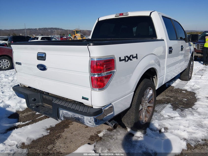 2010 Ford F-150 Fx4/Harley-Davidson/King Ranch/Lariat/Platinum/Xl/Xlt