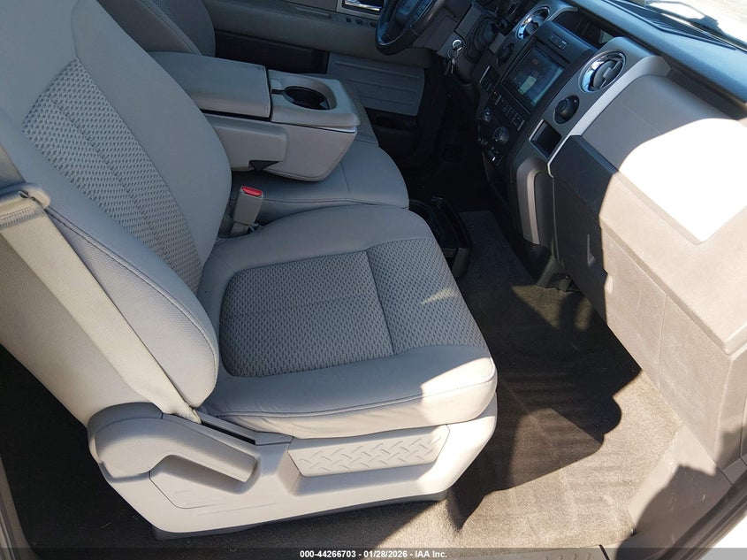 2010 Ford F-150 Fx4/Harley-Davidson/King Ranch/Lariat/Platinum/Xl/Xlt