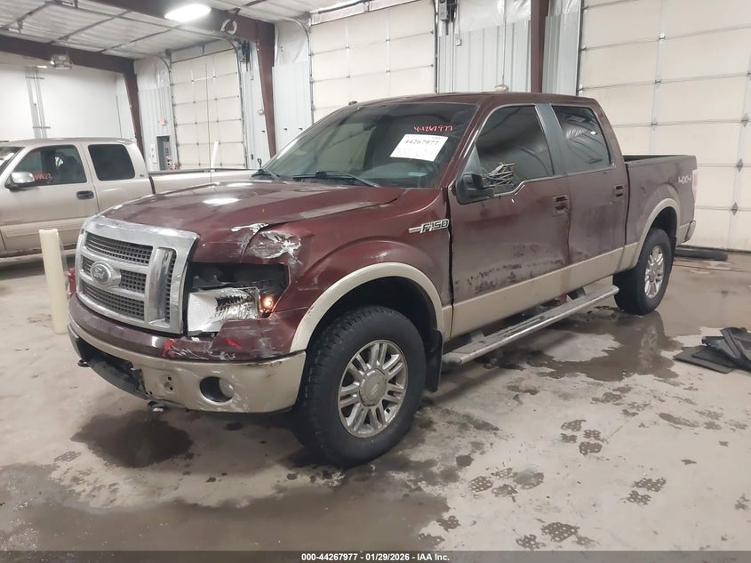 2010 Ford F-150 Fx4/Harley-Davidson/King Ranch/Lariat/Platinum/Xl/Xlt