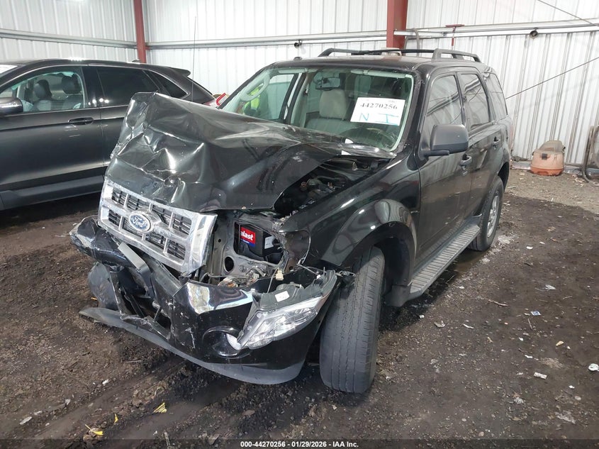 2010 Ford Escape Xlt