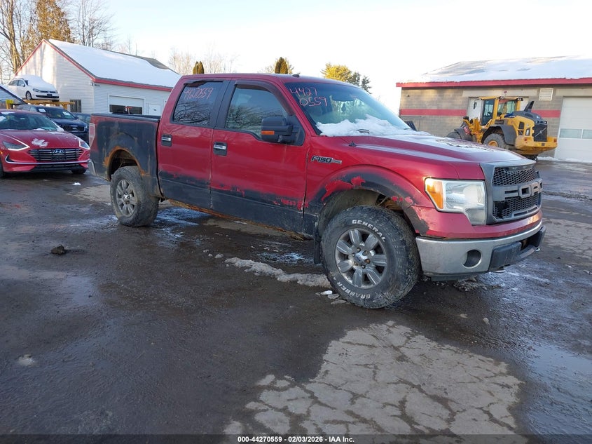 2010 Ford F-150 Xl/Xlt