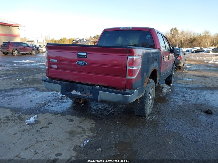 2010 Ford F-150 Xl/Xlt