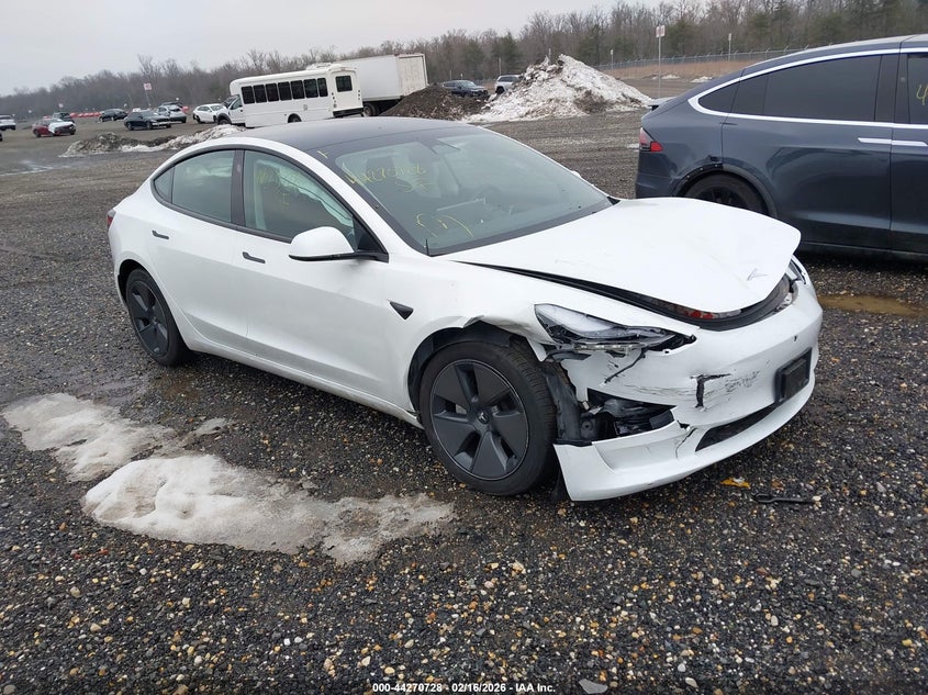 2023 Tesla Model 3 Rear-Wheel Drive