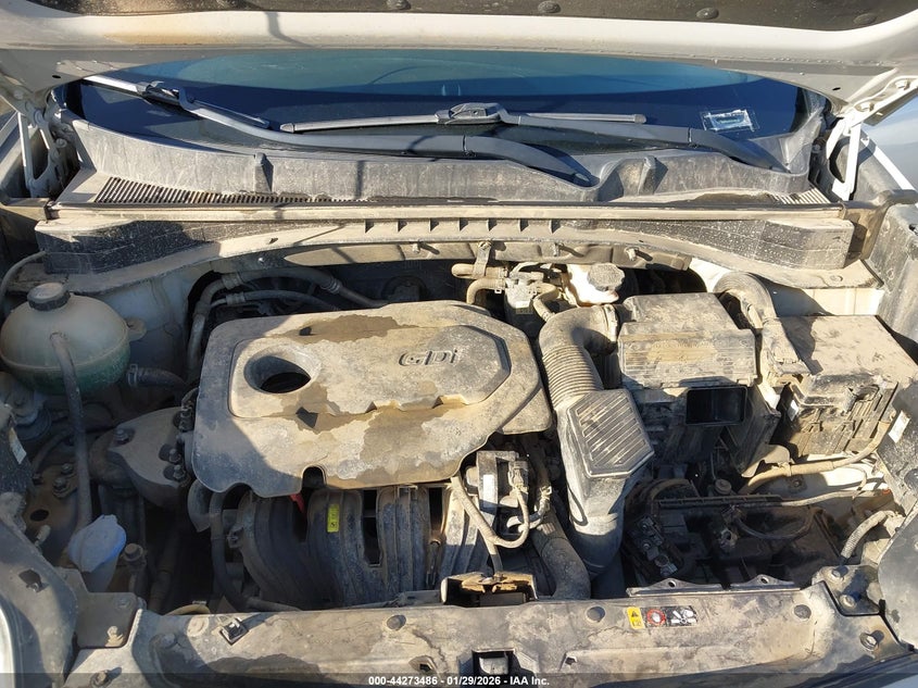 2018 Kia Sportage Lx VIN: KNDPM3AC8J7445138 Lot: 44273486