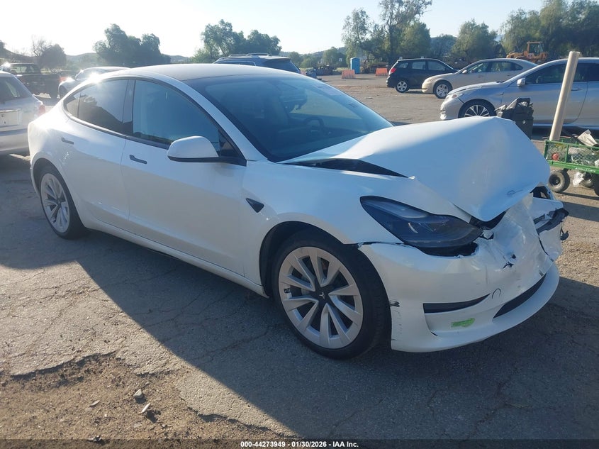 2023 Tesla Model 3 Rear-Wheel Drive