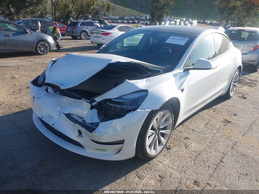 2023 Tesla Model 3 Rear-Wheel Drive