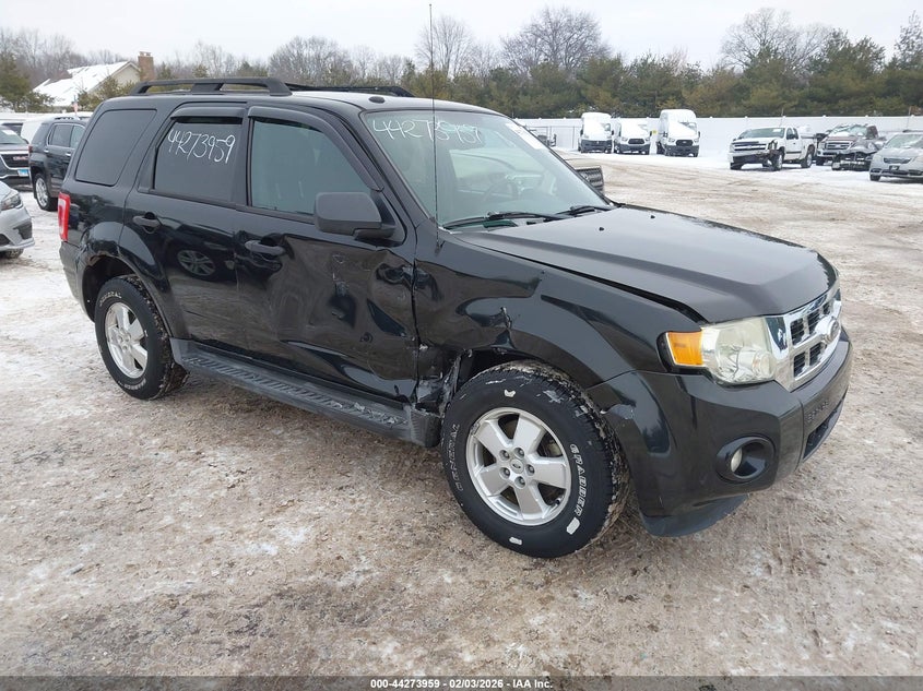 2011 Ford Escape Xlt