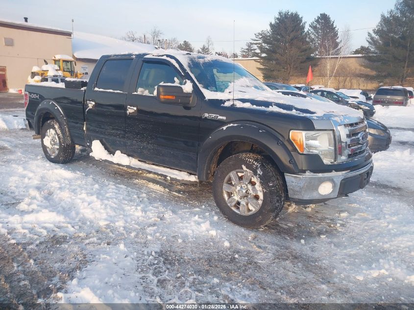 2009 Ford F-150 Xl/Xlt