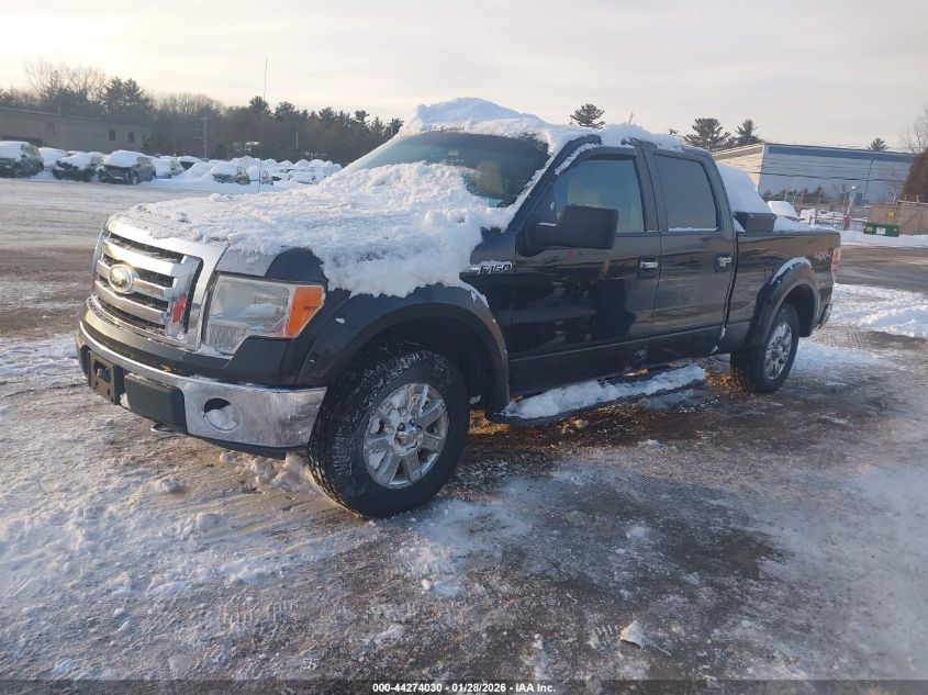 2009 Ford F-150 Xl/Xlt