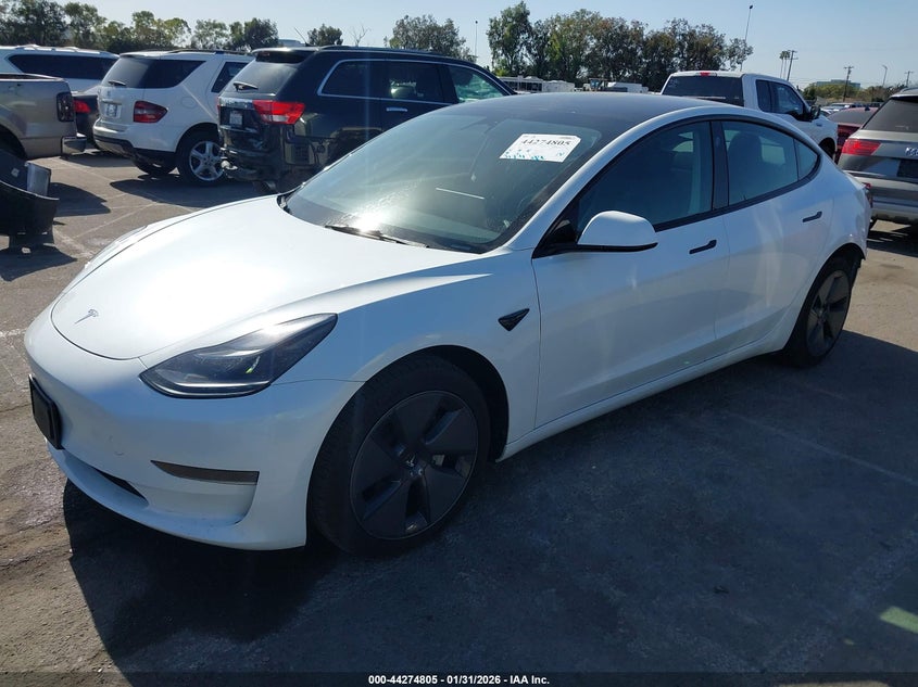 2023 Tesla Model 3 Rear-Wheel Drive