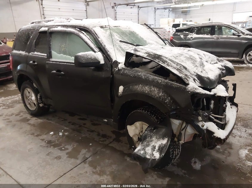 2011 Ford Escape Xlt