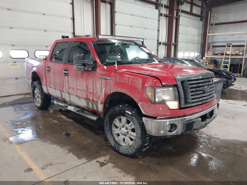 2010 Ford F-150 Fx4/Harley-Davidson/King Ranch/Lariat/Platinum/Xl/Xlt