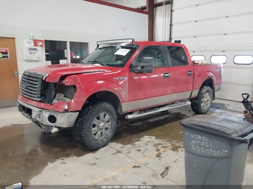 2010 Ford F-150 Fx4/Harley-Davidson/King Ranch/Lariat/Platinum/Xl/Xlt