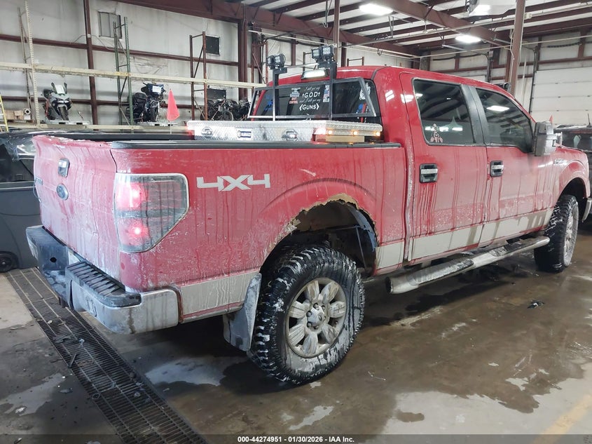 2010 Ford F-150 Fx4/Harley-Davidson/King Ranch/Lariat/Platinum/Xl/Xlt