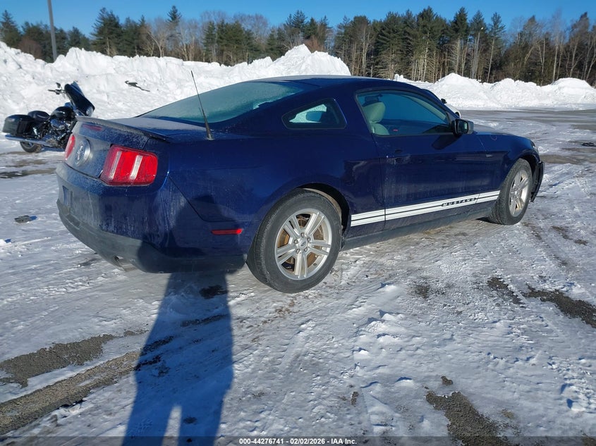 2010 Ford Mustang V6/V6 Premium