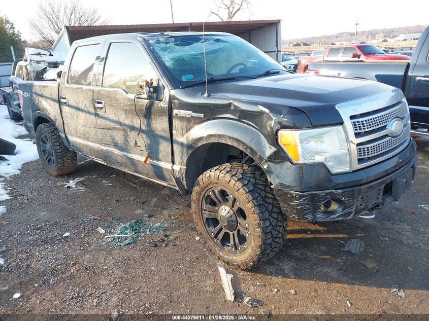 2009 Ford F-150 Platinum