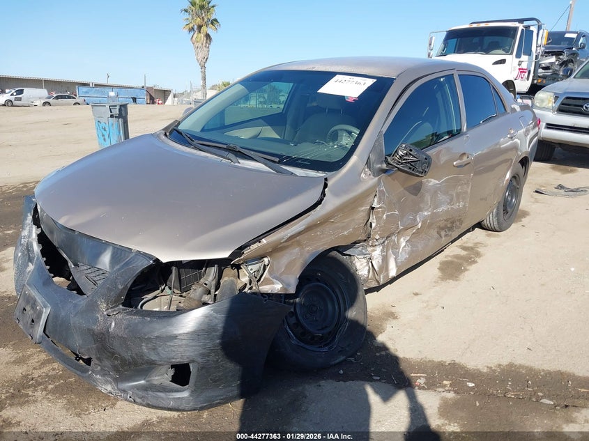2009 Toyota Corolla S/Le/Xle