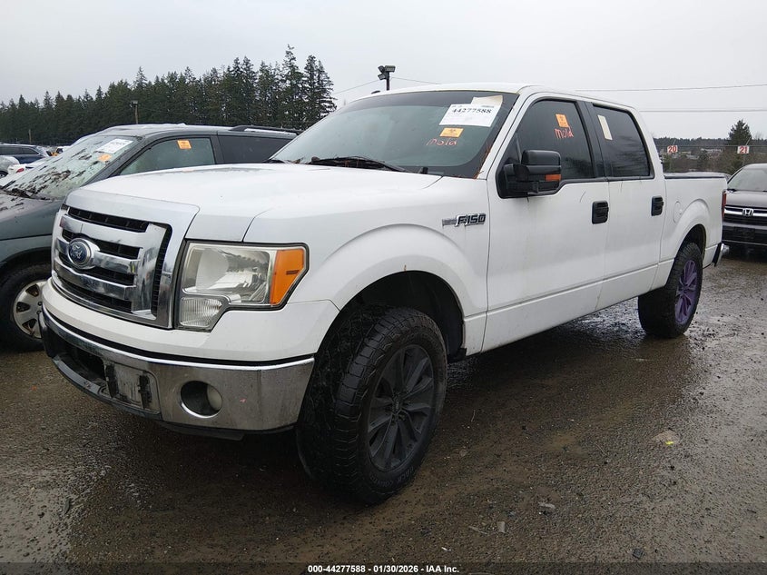 2011 Ford F-150 Xlt