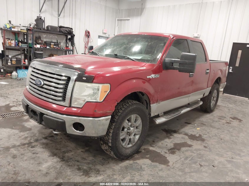 2010 Ford F-150 Fx4/Harley-Davidson/King Ranch/Lariat/Platinum/Xl/Xlt