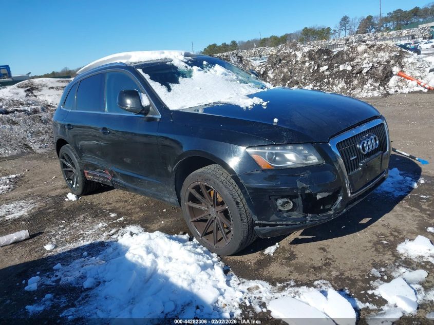 2010 Audi Q5