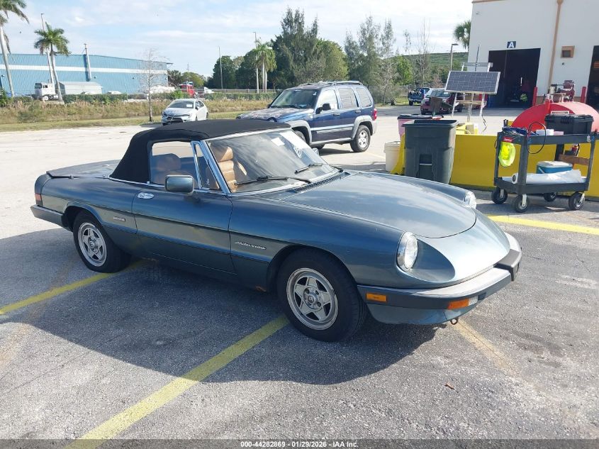 1989 Alfa Romeo Spider