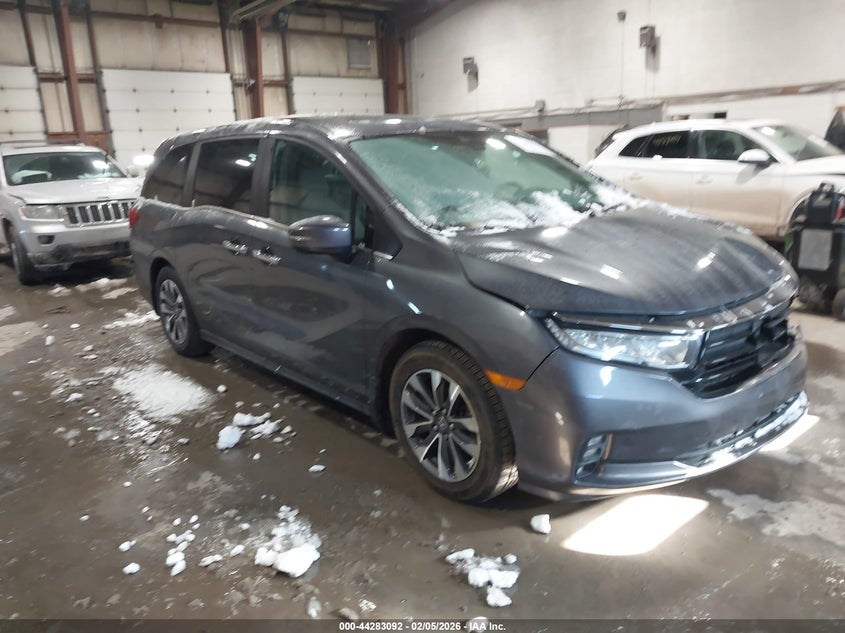 2023 Honda Odyssey Ex-L
