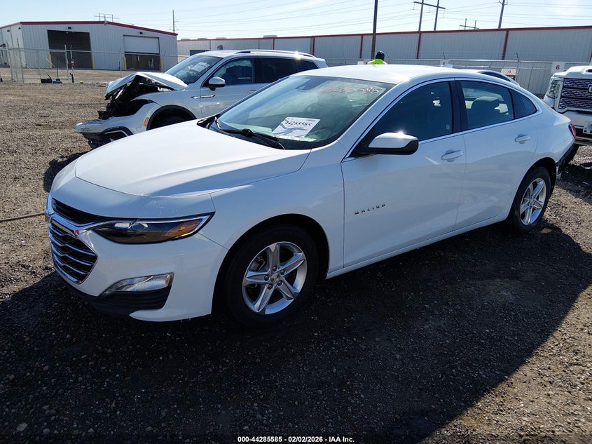 2024 Chevrolet Malibu Fwd 1Lt