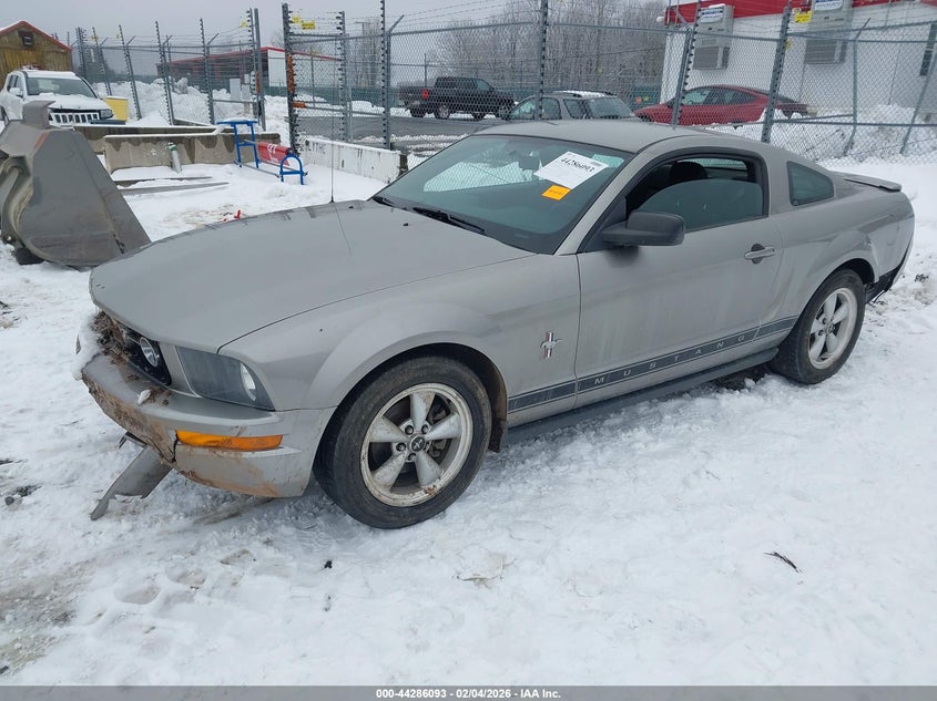 2008 Ford Mustang V6 Deluxe/V6 Premium