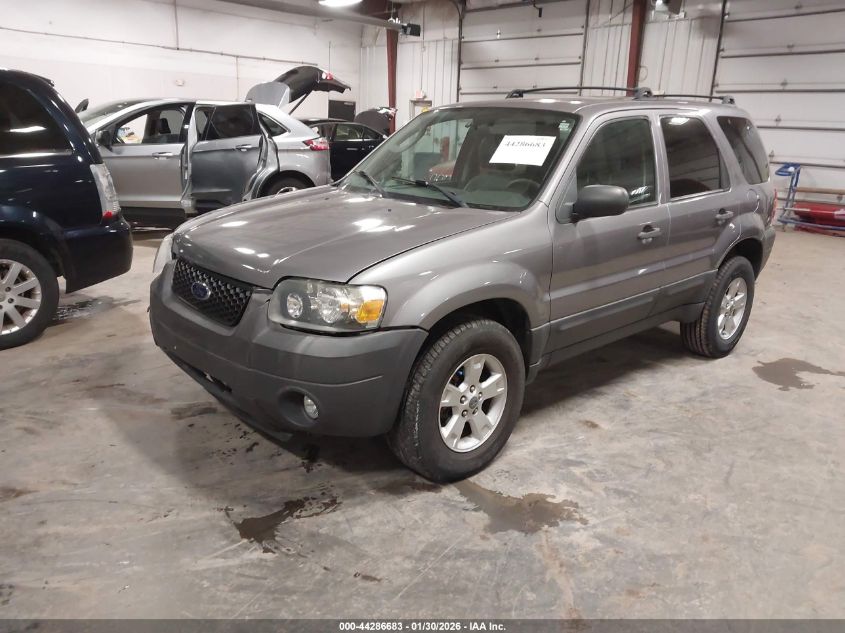 2007 Ford Escape Xlt/Xlt Sport