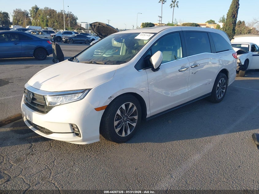 2023 Honda Odyssey Ex-L