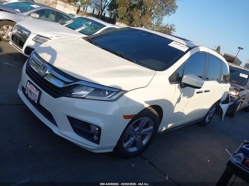 VIN 5FNRL6H77KB066343 2019 HONDA ODYSSEY EX-L