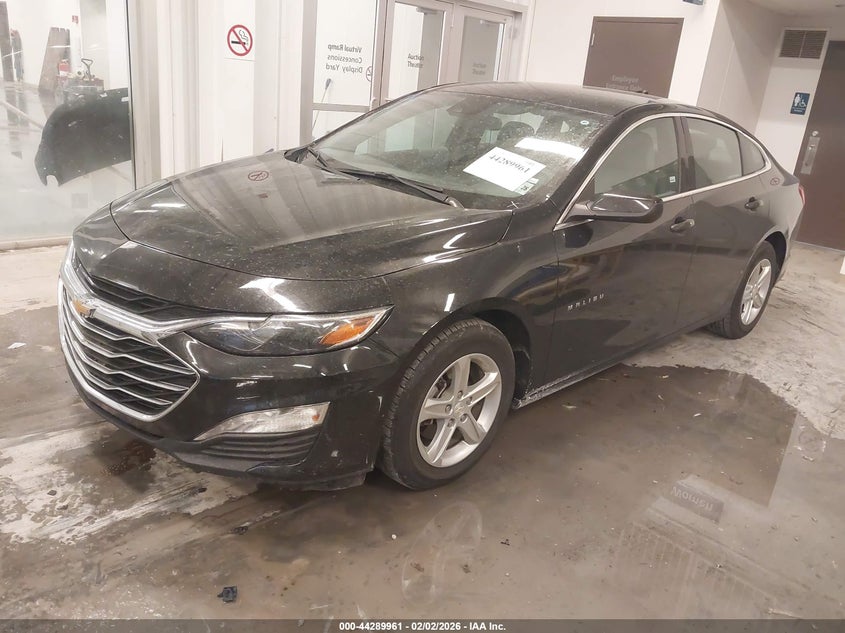 2023 Chevrolet Malibu Fwd 1Lt