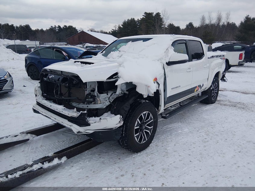 VIN 3TYCZ5AN0PT123397 2023 TOYOTA TACOMA TRD SPORT