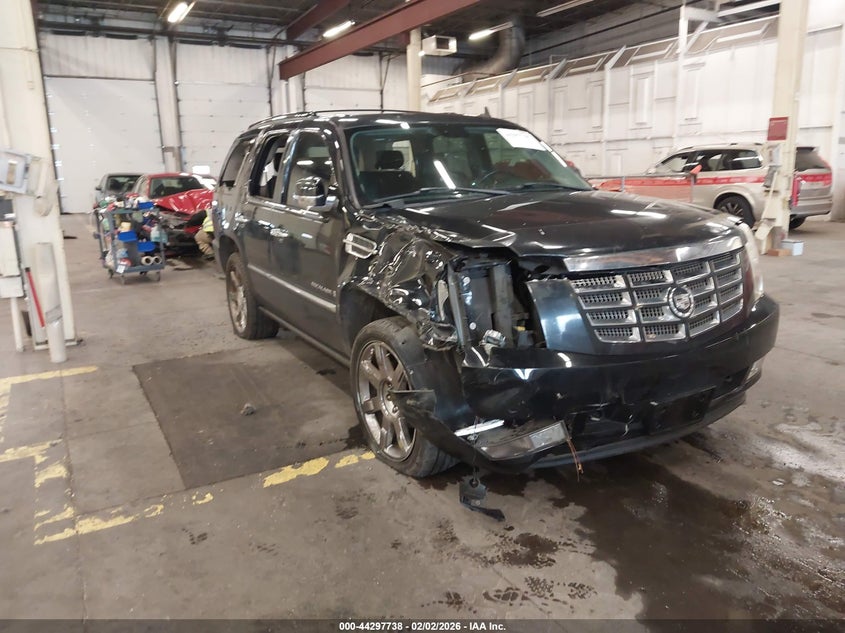 2008 Cadillac Escalade Standard