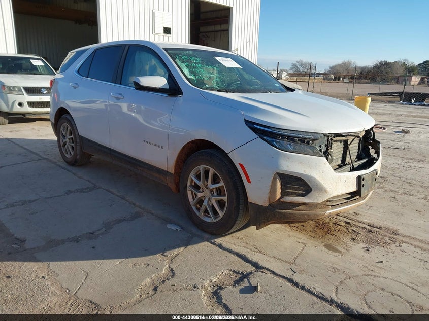 2024 CHEVROLET EQUINOX  (VIN: 3GNAXJEG6RL189420)